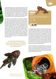 ZOO & Co Flugblatt Seite 51