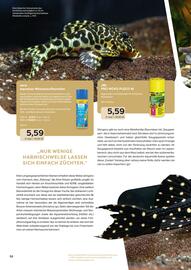 ZOO & Co Flugblatt Seite 52