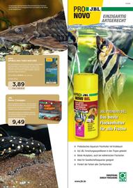 ZOO & Co Flugblatt Seite 53