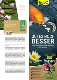 ZOO & Co Flugblatt Seite 59
