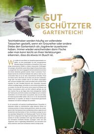ZOO & Co Flugblatt Seite 60