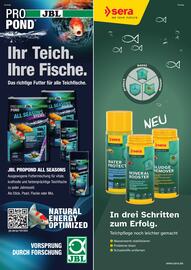 ZOO & Co Flugblatt Seite 62