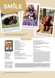 ZOO & Co Flugblatt Seite 66