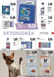Volantino Carico Cash & Carry Pagina 13