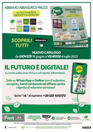 Volantino Pam Pagina 19
