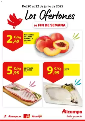 Folleto Alcampo (válido hasta el 22-06)