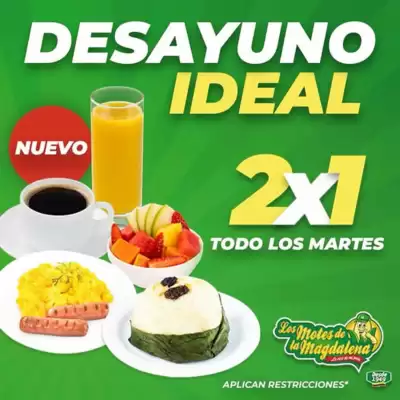 Catálogo Los Motes de la Magdalena (válido hasta 30-06)