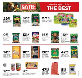 Fleet Farm Weekly Ad week 25 Page 15