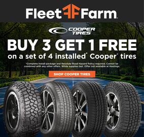 Fleet Farm Weekly Ad week 25 Page 2