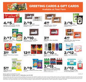 Fleet Farm Weekly Ad week 25 Page 20