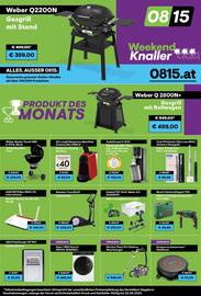 0815 Flugblatt Seite 1