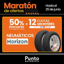 Catálogo Punto Mayorista semana 25 Página 5