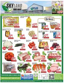 Skyland Foodmart flyer week 25 Page 1