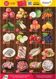 Shaklan catalogue Page 2