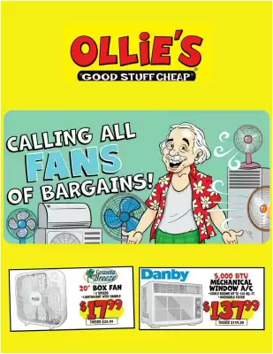 Ollie's Weekly Ad (valid until 24-06)