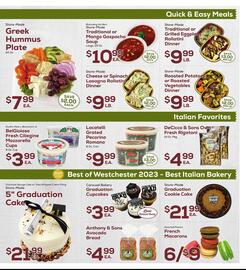 DeCicco & Sons Weekly Ad week 25 Page 3