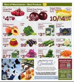 DeCicco & Sons Weekly Ad week 25 Page 8