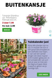 Intratuin folder week 26 Pagina 3