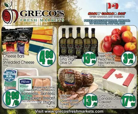 flyer-cover