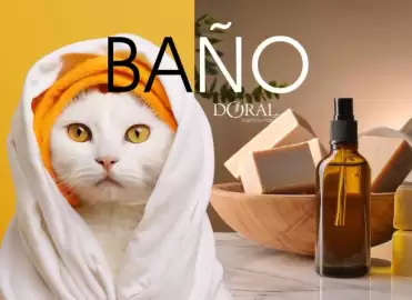 Catálogo Doral Página 151