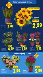Lidl folder week 26 Pagina 12