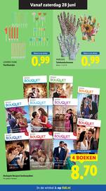 Lidl folder week 26 Pagina 29