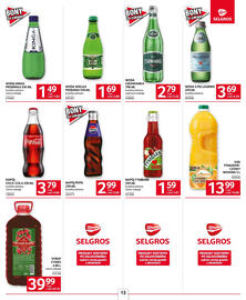 Selgros gazetka Strona 13