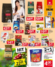 Selgros gazetka Strona 17