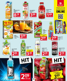 Selgros gazetka Strona 20