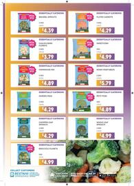 Bestway leaflet Page 13