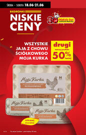 Biedronka gazetka tydzień 25 Strona 16