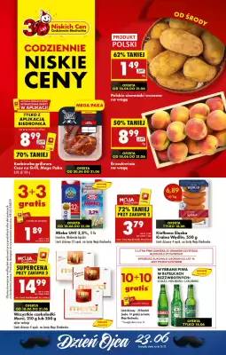 Biedronka gazetka (ważność do 25-06)