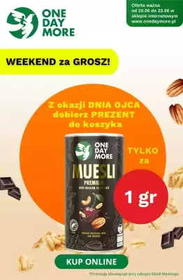 One day more gazetka (ważność do 23-06)