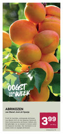 Ekoplaza folder week 26 Pagina 12