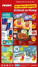 PENNY Prospekt woche 26 Seite 1