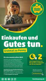 PENNY Prospekt woche 26 Seite 17