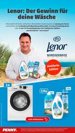 PENNY Prospekt woche 26 Seite 18