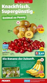 PENNY Prospekt woche 26 Seite 2