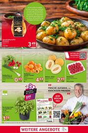 Selgros Prospekt woche 26 Seite 3