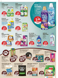 V Markt Prospekt woche 26 Seite 13