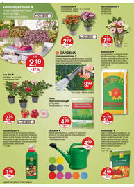 V Markt Prospekt woche 26 Seite 18