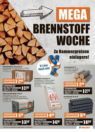 V Markt Prospekt woche 26 Seite 19