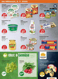 V Markt Prospekt woche 26 Seite 23