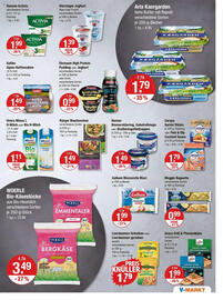V Markt Prospekt woche 26 Seite 7