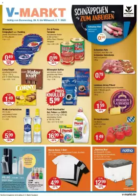 V Markt Prospekt (gültig bis 2-07)