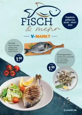 V Markt Prospekt (gültig bis 9-07)