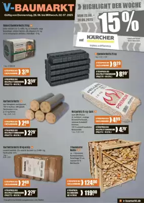 V Baumarkt Prospekt (gültig bis 2-07)