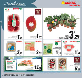 Volantino Conad Superstore Pagina 16