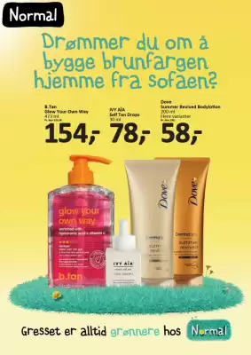 Normal Kundeavis (gyldig til 4-07)