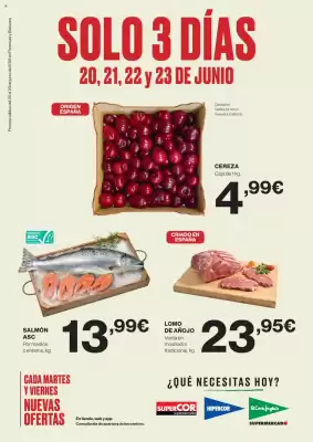 Folleto El Corte Inglés (válido hasta el 23-06)